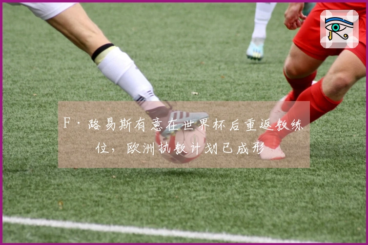 F·路易斯有意在世界杯后重返教练岗位，欧洲执教计划已成形