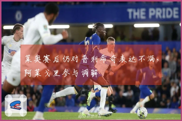 莱奥赛后仍对普利希奇表达不满，阿莱戈里参与调解