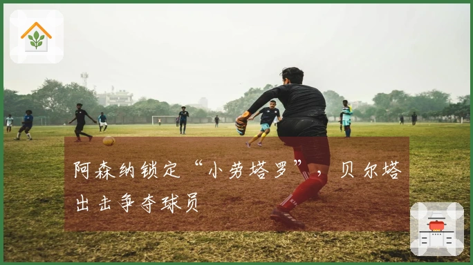 阿森纳锁定“小劳塔罗”，贝尔塔出击争夺球员